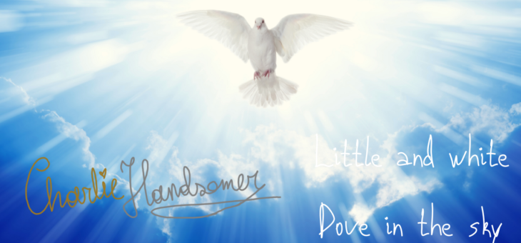Charlie Handsomer – Little and white dove in the sky